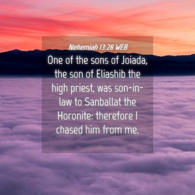 Picture 04 - Nehemiah 13:28 WEB - One of the sons of Joiada, the son of Eliashib - Bible Verse Picture