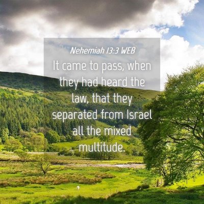 Picture 04 - Nehemiah 13:3 WEB - It came to pass, when they had heard the law, - Bible Verse Picture