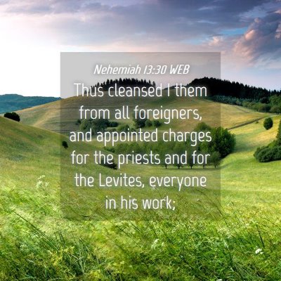 Picture 04 - Nehemiah 13:30 WEB - Thus cleansed I them from all foreigners, and - Bible Verse Picture