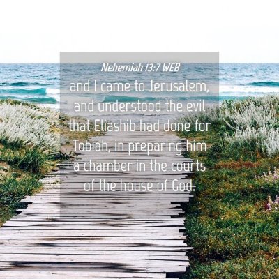 Picture 04 - Nehemiah 13:7 WEB - and I came to Jerusalem, and understood the evil - Bible Verse Picture