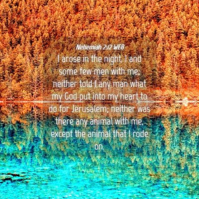 Picture 04 - Nehemiah 2:12 WEB - I arose in the night, I and some few men with me; - Bible Verse Picture