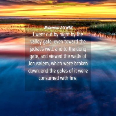 Picture 04 - Nehemiah 2:13 WEB - I went out by night by the valley gate, even - Bible Verse Picture