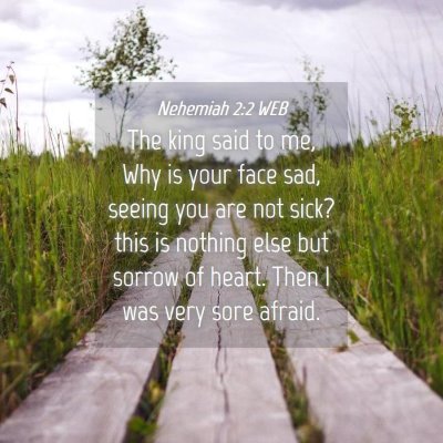 Picture 04 - Nehemiah 2:2 WEB - The king said to me, Why is your face sad, seeing - Bible Verse Picture