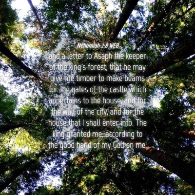 Picture 04 - Nehemiah 2:8 WEB - and a letter to Asaph the keeper of the king's - Bible Verse Picture