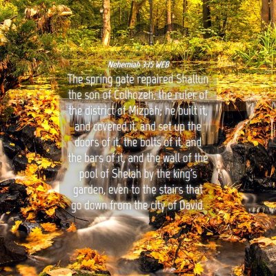 Picture 04 - Nehemiah 3:15 WEB - The spring gate repaired Shallun the son of - Bible Verse Picture