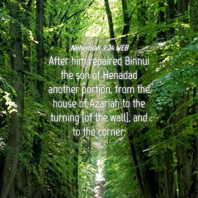 Picture 04 - Nehemiah 3:24 WEB - After him repaired Binnui the son of Henadad - Bible Verse Picture