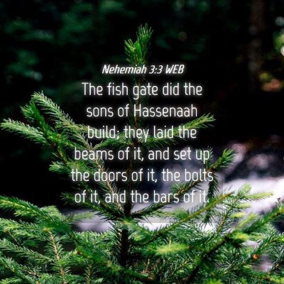 Picture 04 - Nehemiah 3:3 WEB - The fish gate did the sons of Hassenaah build; - Bible Verse Picture