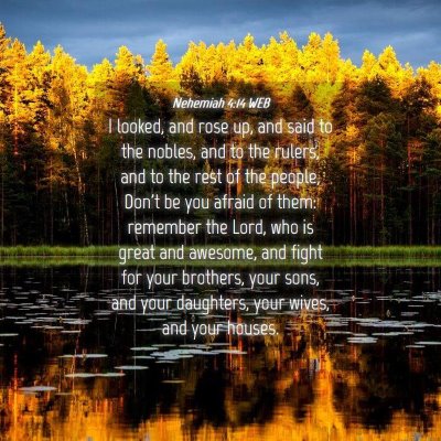 Picture 04 - Nehemiah 4:14 WEB - I looked, and rose up, and said to the nobles, - Bible Verse Picture
