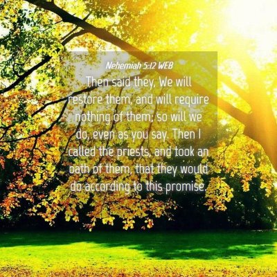 Picture 04 - Nehemiah 5:12 WEB - Then said they, We will restore them, and will - Bible Verse Picture