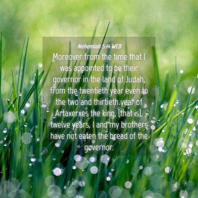 Picture 04 - Nehemiah 5:14 WEB - Moreover from the time that I was appointed to be - Bible Verse Picture
