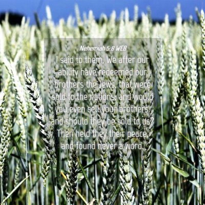 Picture 04 - Nehemiah 5:8 WEB - I said to them, We after our ability have - Bible Verse Picture