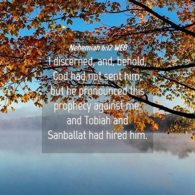 Picture 04 - Nehemiah 6:12 WEB - I discerned, and, behold, God had not sent him; - Bible Verse Picture
