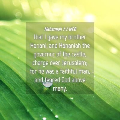 Picture 04 - Nehemiah 7:2 WEB - that I gave my brother Hanani, and Hananiah the - Bible Verse Picture