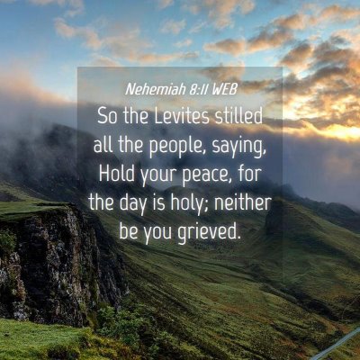 Picture 04 - Nehemiah 8:11 WEB - So the Levites stilled all the people, saying, - Bible Verse Picture