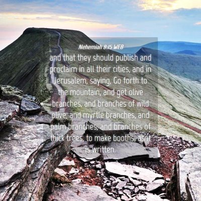 Picture 04 - Nehemiah 8:15 WEB - and that they should publish and proclaim in all - Bible Verse Picture