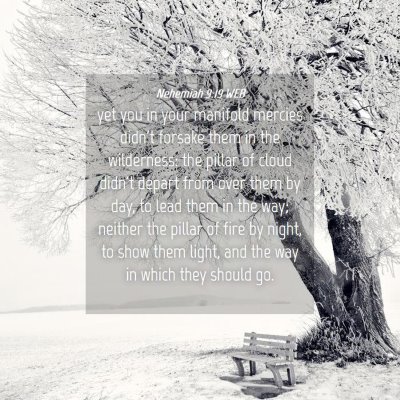 Picture 04 - Nehemiah 9:19 WEB - yet you in your manifold mercies didn't forsake - Bible Verse Picture