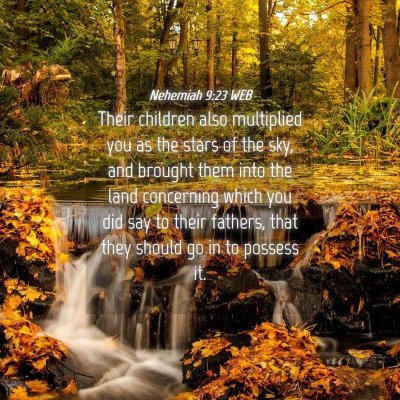 Picture 04 - Nehemiah 9:23 WEB - Their children also multiplied you as the stars - Bible Verse Picture