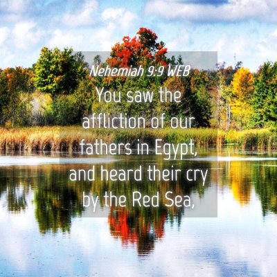 Picture 04 - Nehemiah 9:9 WEB - You saw the affliction of our fathers in Egypt, - Bible Verse Picture