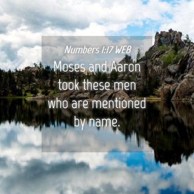 Picture 04 - Numbers 1:17 WEB - Moses and Aaron took these men who are mentioned - Bible Verse Picture