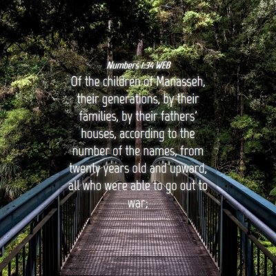 Picture 04 - Numbers 1:34 WEB - Of the children of Manasseh, their generations, - Bible Verse Picture