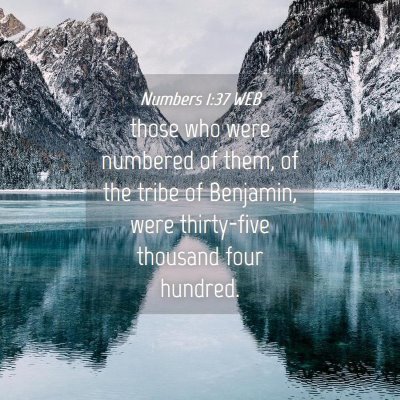 Picture 04 - Numbers 1:37 WEB - those who were numbered of them, of the tribe of - Bible Verse Picture