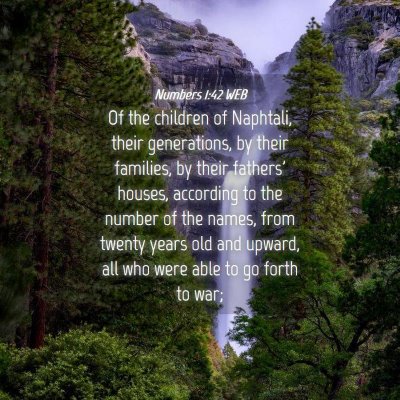 Picture 04 - Numbers 1:42 WEB - Of the children of Naphtali, their generations, - Bible Verse Picture