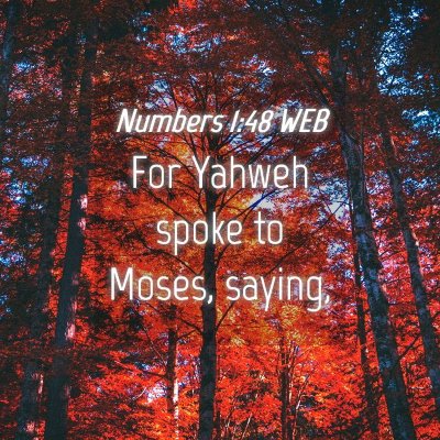 Picture 04 - Numbers 1:48 WEB - For Yahweh spoke to Moses, - Bible Verse Picture