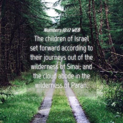 Picture 04 - Numbers 10:12 WEB - The children of Israel set forward according to - Bible Verse Picture