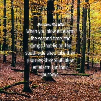 Picture 04 - Numbers 10:6 WEB - When you blow an alarm the second time, the camps - Bible Verse Picture
