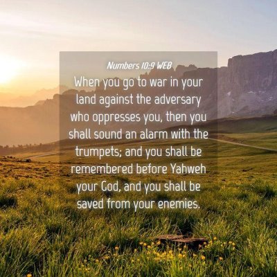 Picture 04 - Numbers 10:9 WEB - When you go to war in your land against the - Bible Verse Picture