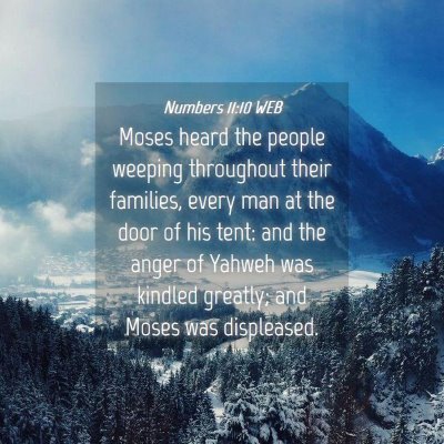 Picture 04 - Numbers 11:10 WEB - Moses heard the people weeping throughout their - Bible Verse Picture