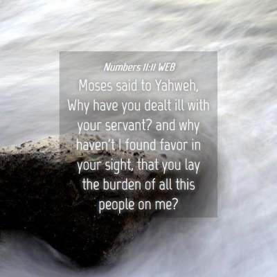 Picture 04 - Numbers 11:11 WEB - Moses said to Yahweh, Why have you dealt ill with - Bible Verse Picture