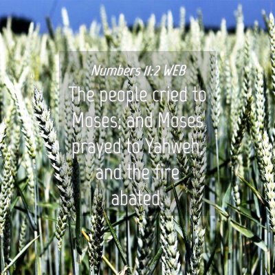 Picture 04 - Numbers 11:2 WEB - The people cried to Moses; and Moses prayed to - Bible Verse Picture