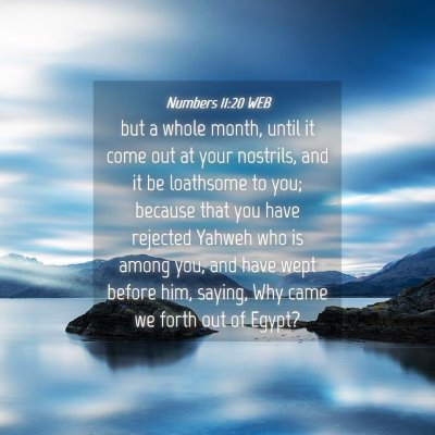 Picture 04 - Numbers 11:20 WEB - but a whole month, until it come out at your - Bible Verse Picture