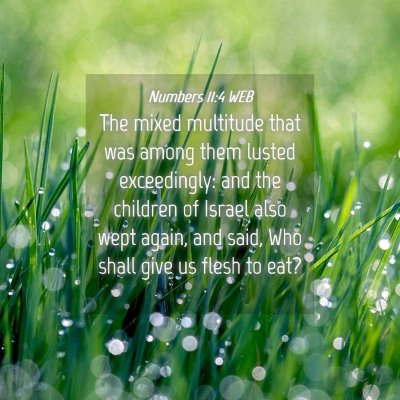 Picture 04 - Numbers 11:4 WEB - The mixed multitude that was among them lusted - Bible Verse Picture