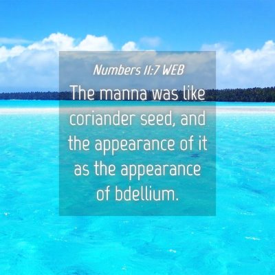 Picture 04 - Numbers 11:7 WEB - The manna was like coriander seed, and the - Bible Verse Picture