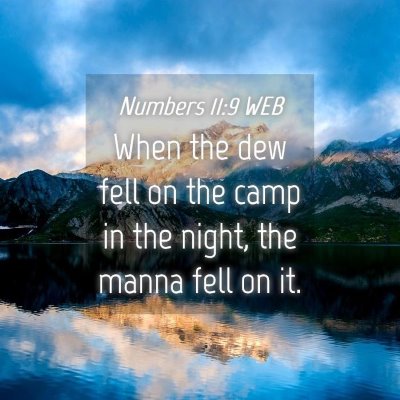 Picture 04 - Numbers 11:9 WEB - When the dew fell on the camp in the night, the - Bible Verse Picture