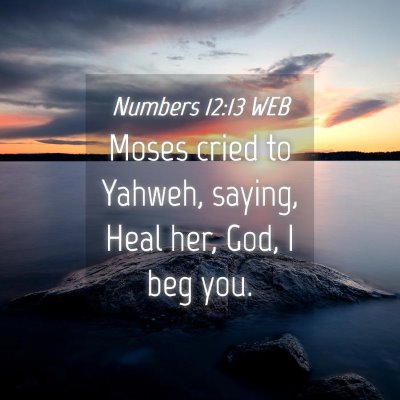 Picture 04 - Numbers 12:13 WEB - Moses cried to Yahweh, saying, Heal her, God, I - Bible Verse Picture