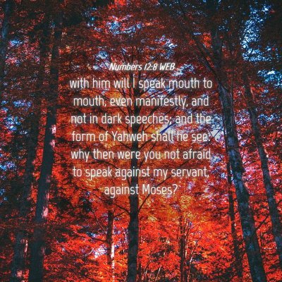 Picture 04 - Numbers 12:8 WEB - with him will I speak mouth to mouth, even - Bible Verse Picture