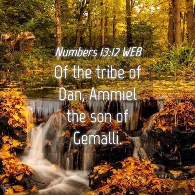 Picture 04 - Numbers 13:12 WEB - Of the tribe of Dan, Ammiel the son of - Bible Verse Picture