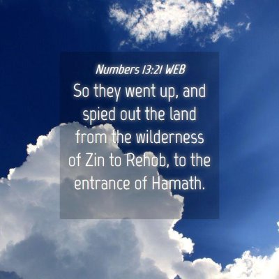Picture 04 - Numbers 13:21 WEB - So they went up, and spied out the land from the - Bible Verse Picture