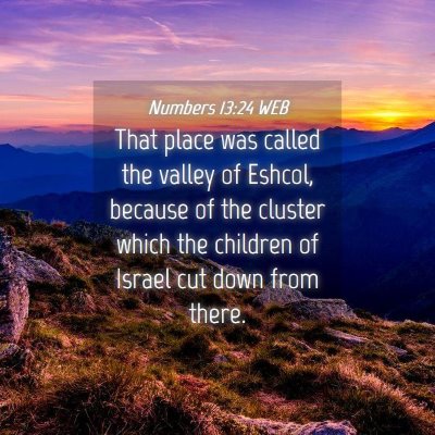 Picture 04 - Numbers 13:24 WEB - That place was called the valley of Eshcol, - Bible Verse Picture