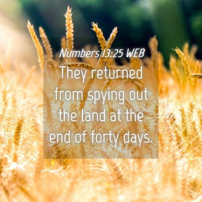 Picture 04 - Numbers 13:25 WEB - They returned from spying out the land at the end - Bible Verse Picture
