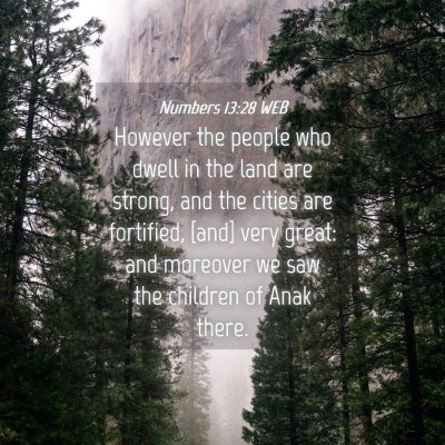 Picture 04 - Numbers 13:28 WEB - However the people who dwell in the land are - Bible Verse Picture