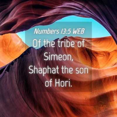 Picture 04 - Numbers 13:5 WEB - Of the tribe of Simeon, Shaphat the son of - Bible Verse Picture