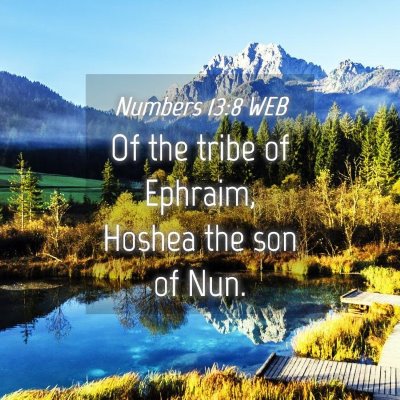 Picture 04 - Numbers 13:8 WEB - Of the tribe of Ephraim, Hoshea the son of - Bible Verse Picture