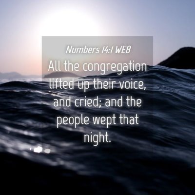 Picture 04 - Numbers 14:1 WEB - All the congregation lifted up their voice, and - Bible Verse Picture