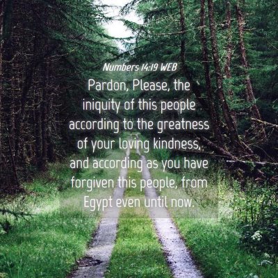 Picture 04 - Numbers 14:19 WEB - Pardon, Please, the iniquity of this people - Bible Verse Picture