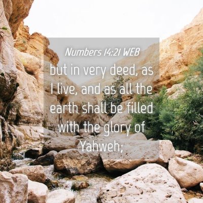 Picture 04 - Numbers 14:21 WEB - but in very deed, as I live, and as all the earth - Bible Verse Picture