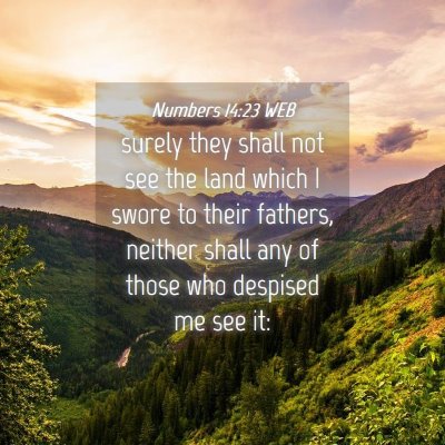 Picture 04 - Numbers 14:23 WEB - surely they shall not see the land which I swore - Bible Verse Picture